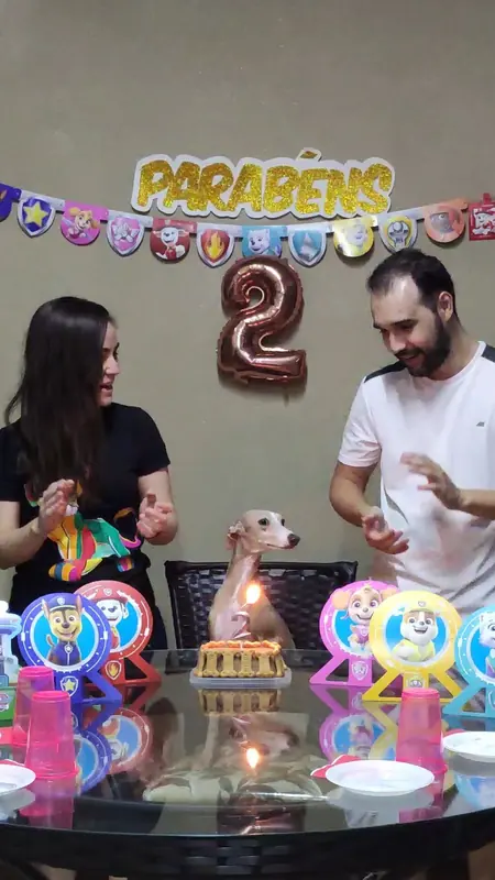 Festa de aniversário do Lion